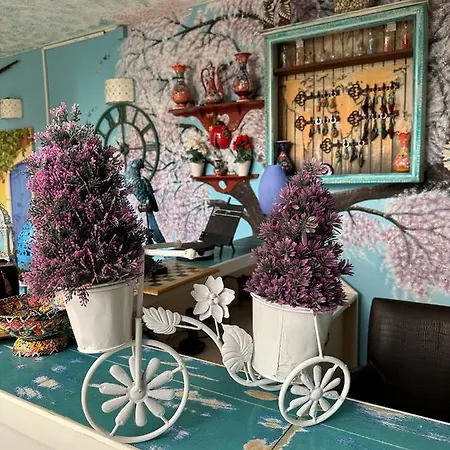 Mai̇ Bed and breakfast