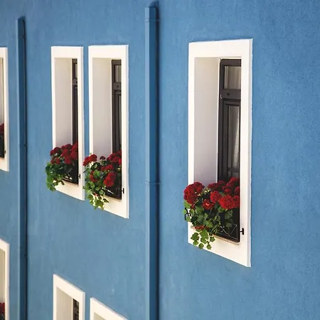 Bed and breakfast Mai̇