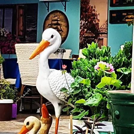 Frühstückspension Mai̇ 2*